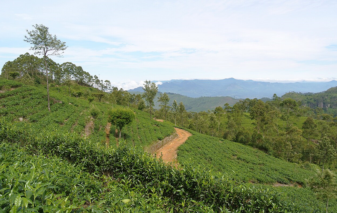 Horton Plains