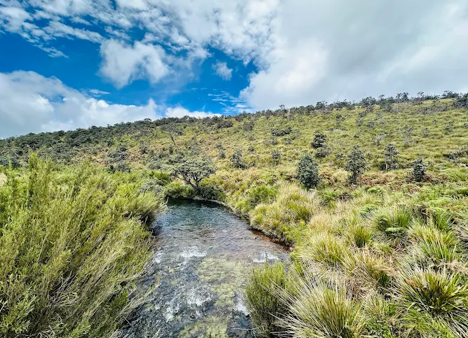 Horton Plains